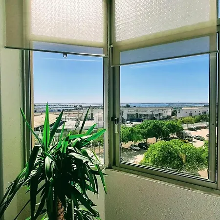 View Mignon De La Ria Formosa